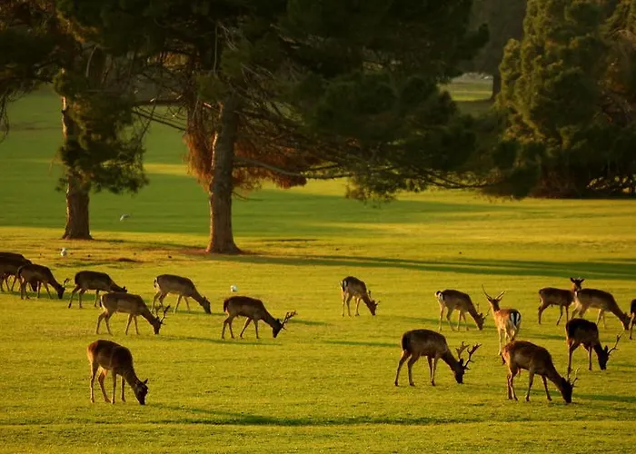Nyaraló Rustic House With Private Swimming Pool
